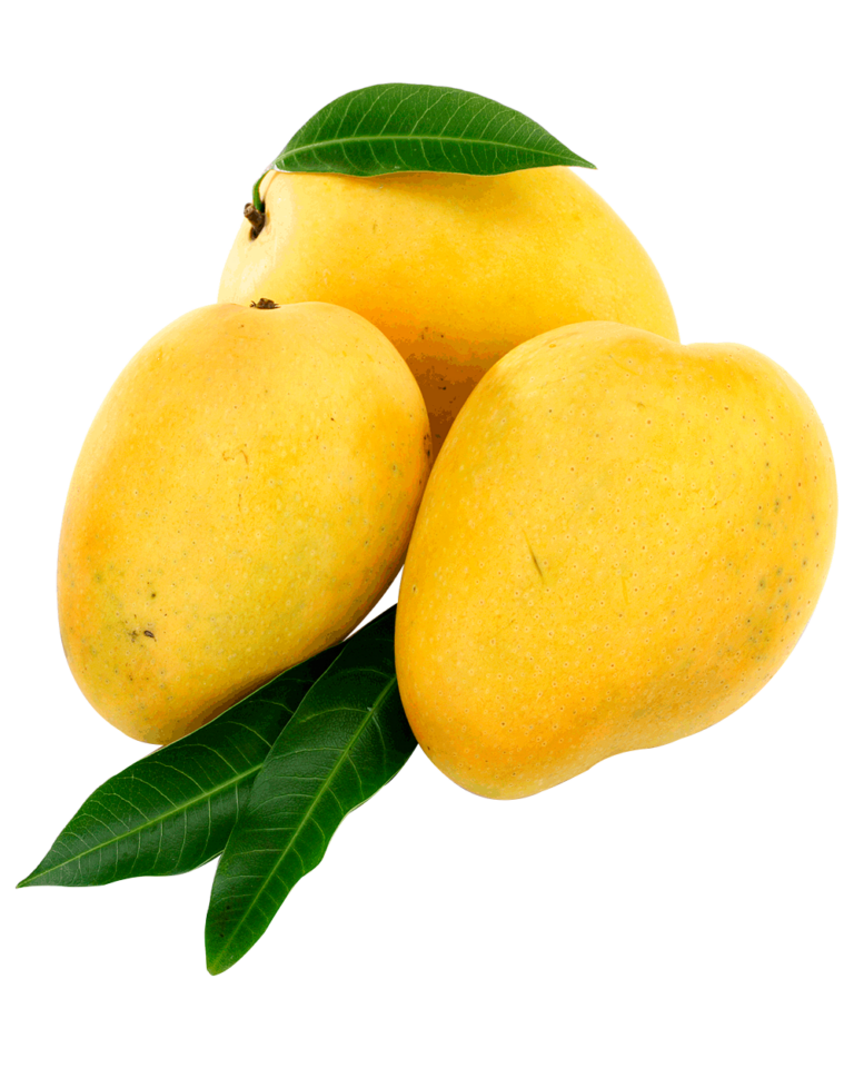 Yellow Keo Mango - Vietnam Select